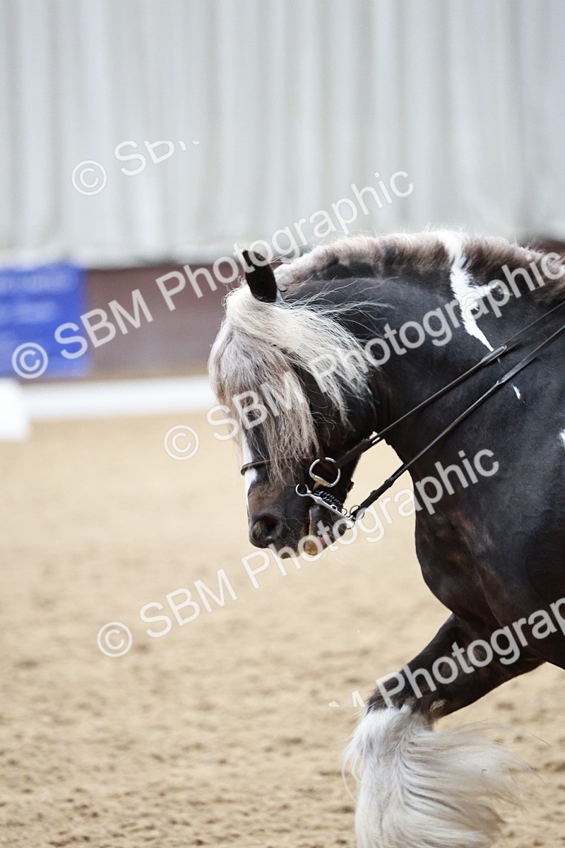 SBM_006031 - Class 17 - Advanced Medium FSM - 13.44-14.48