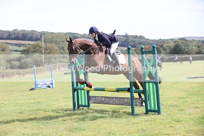 JPP_8552 - Class 2: Trekenning: 80cm Showjumping
