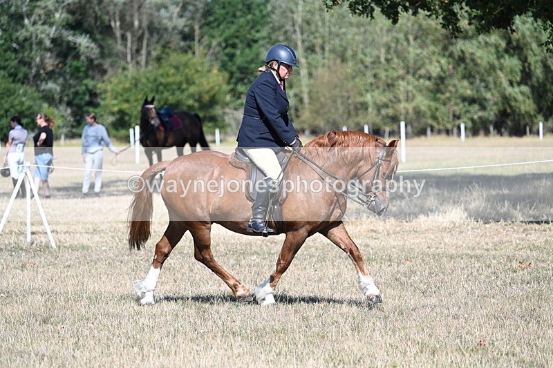 WJ7_3841 - Class 9 Mountain & Moorland Ridden
