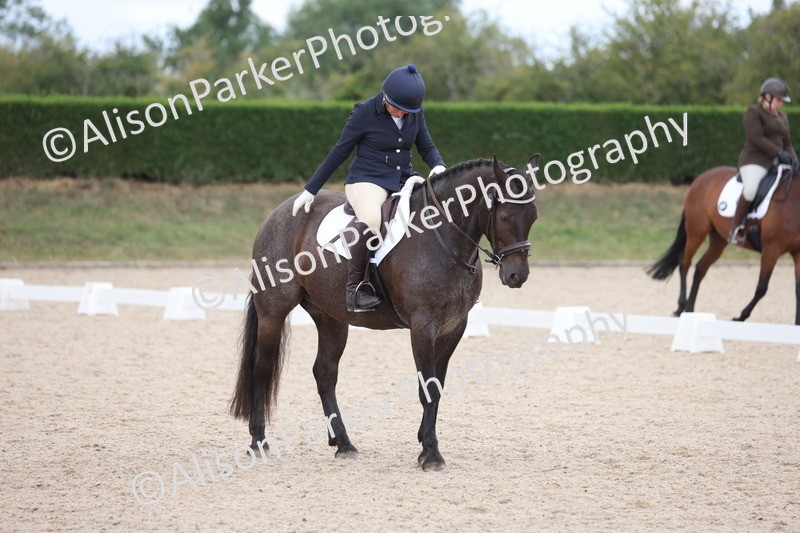 20250706-0296 - Class 15 - Novice 5