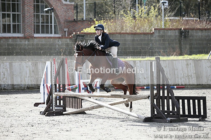 BVRC SJ 170319 173 - Bourne Valley Riding Club Showjumping 17/03/19