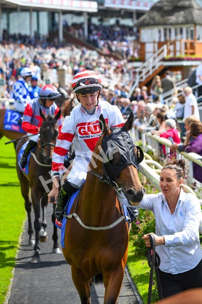 290723-Race 2-Aberama Gold-0384 - Race 2 2.40pm Sky Bet Dash Handicap