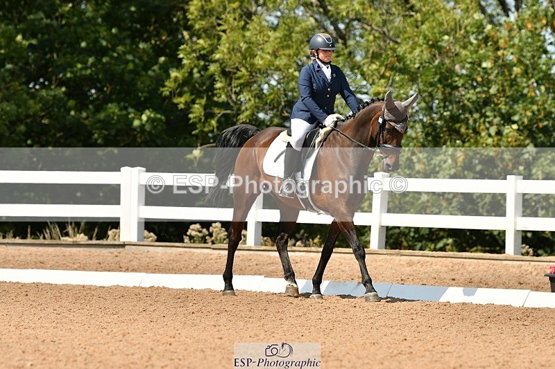 250817-133850-10008 - 033-Frankie.TorodeFirst.Impression.VI