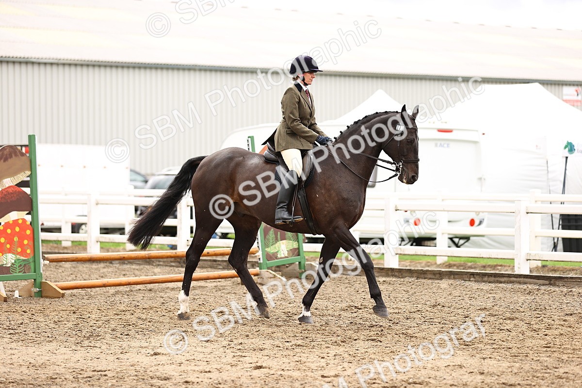 SBM_00530 - Class 53 - Ridden Competition Horse Pony