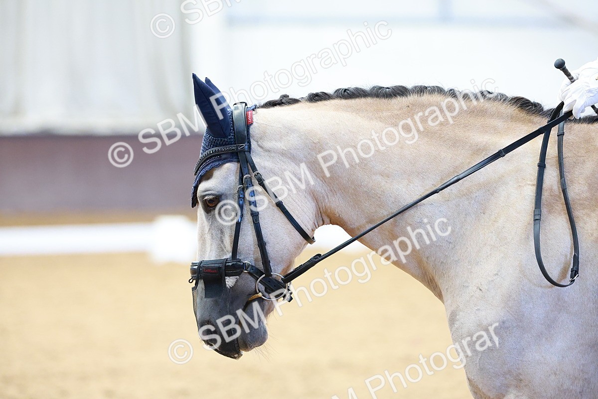 SBM_000115 - Intro Test 1