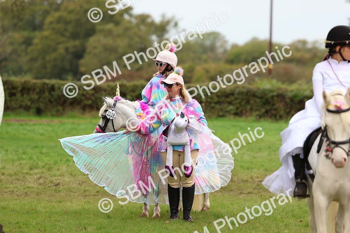 SBM_62218 - S37b - Best Unicorn