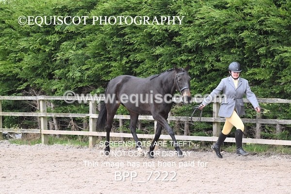 BPP_7222 - RING 1  (RIDDEN HORSES / IN HAND / VETERAN ETC)