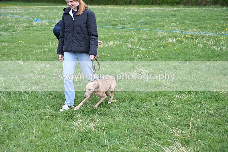 WJ6_8128 - Class 2 Best Pedigree