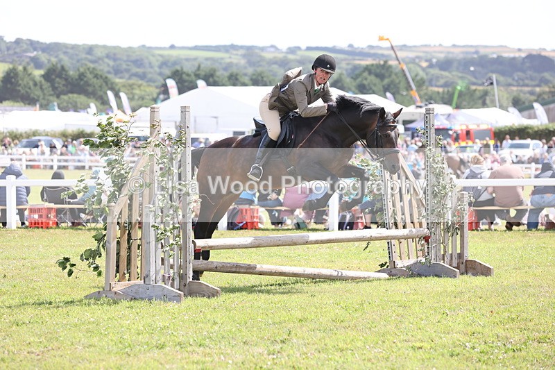 JPP_2178 - Class 19: Working Hunter 60cm