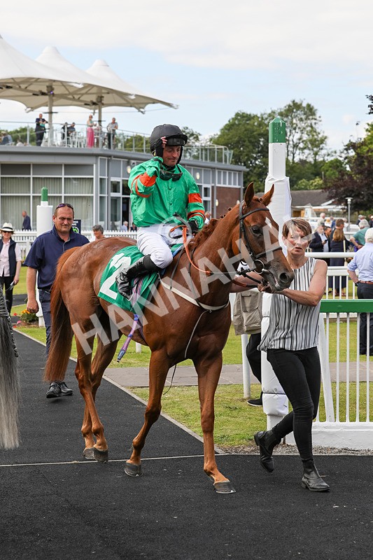 240624-Race 6-Profiteer-0457 - Race 6