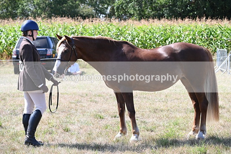 WJ6_4961 - Class 17 Mountain & Moorland