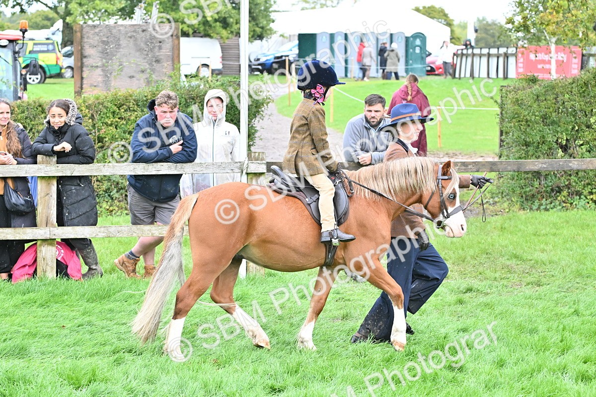 SBM_40115 - S20 - Lead Rein Mountain & Moorland Pony