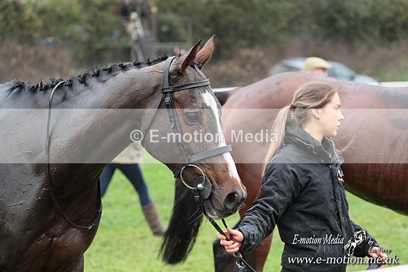 PtP 091124  132 - Knightwick Races Point-to-Point 09/11/24