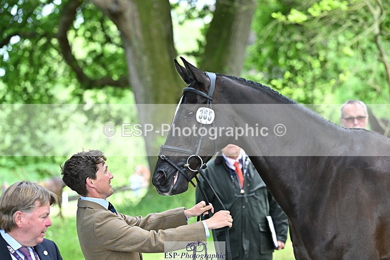 250521A-153057-00560 - B-365-Tom.McEwen-MAESTRO