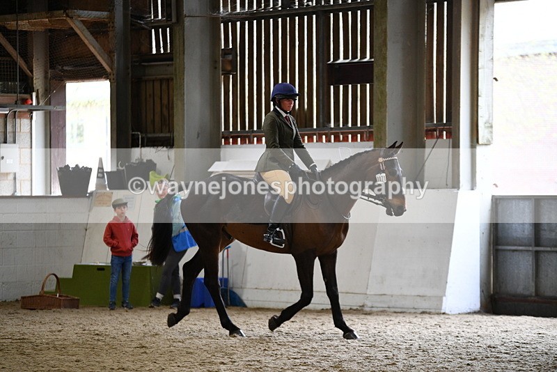 WJ5_7984 - Class 13 Ridden Part Breed