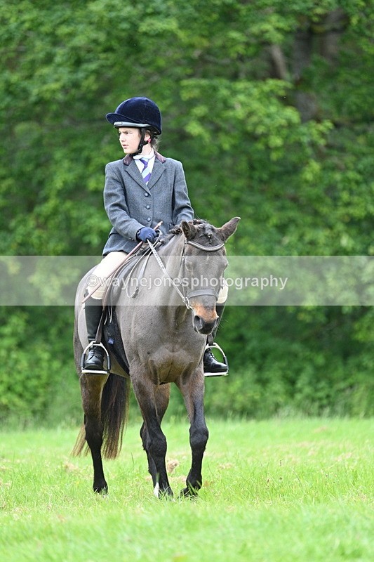 WJ7_4396 - Class 14B Prettiest Mare