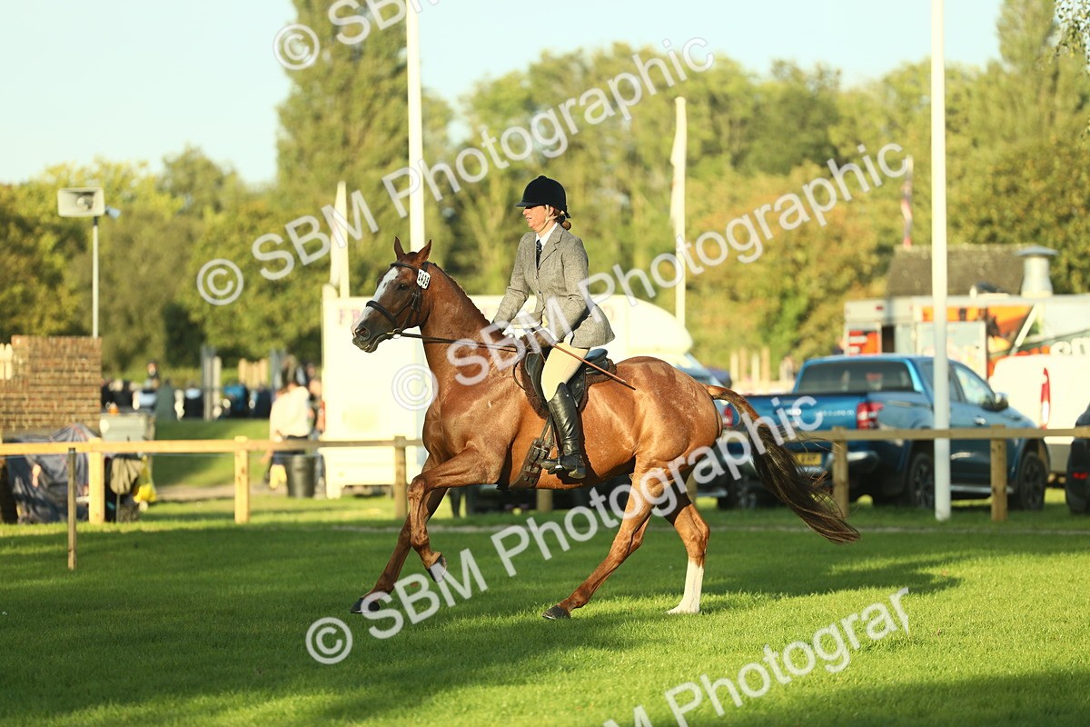 SBM_55539 - S14 - Riding Club Horse