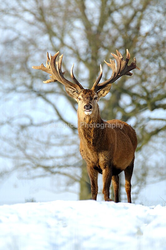  - Wildlife and Nature