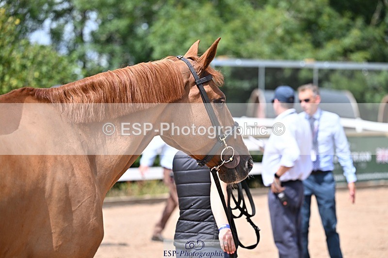 250716-125422-00210 - Trot Up 12.30 to 1.30