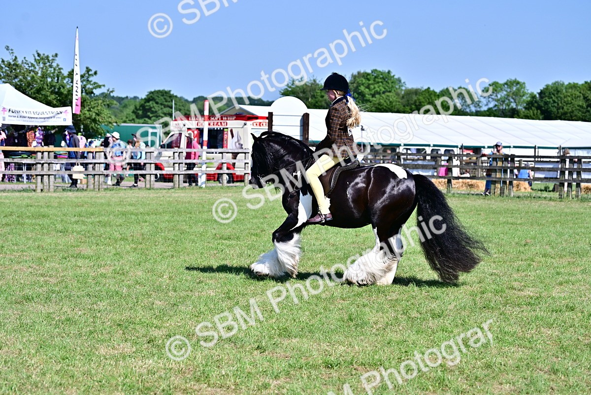 SBM_19371 - Class 101-102 - BSPS LIHS Performance Coloured Horse/Pony
