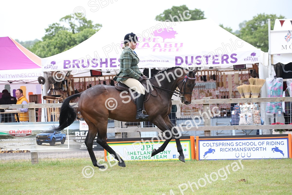 SBM_11437 - Class 94 - LIHS BSHA Racehorse to Showhorse
