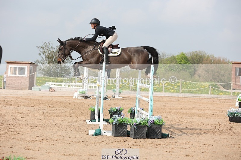 250424-105650-03313 - Cls 33 Young Horse 7yr old