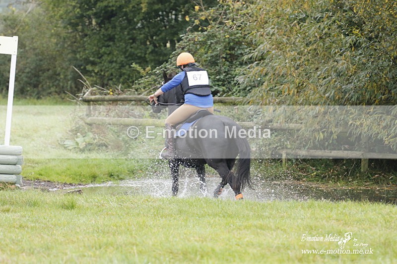  WWHT 171021 0903 - Open Novice (0.80m)  17/10/21