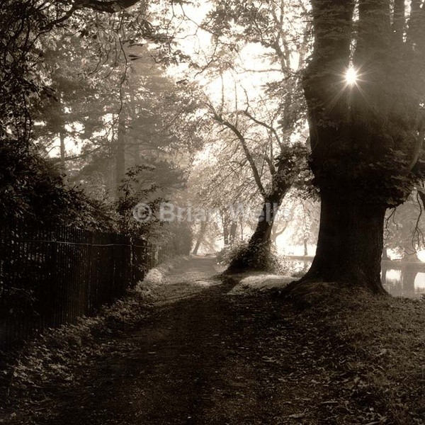 Riverside Walk (Nunns Bridges), Thetford - Limited Editions
