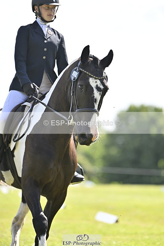 240824X-114917-26053 - D80 Section E and F 11.00 to 12.00