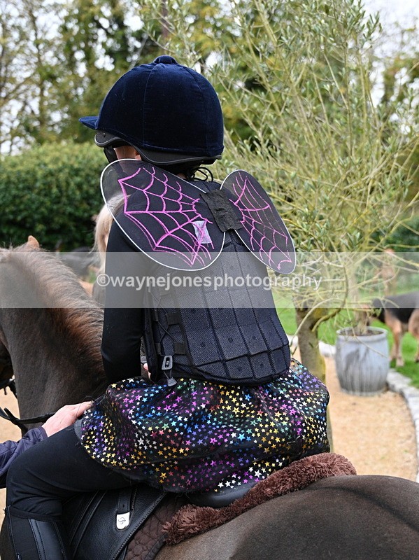 WJ7_6087 - Berks & Bucks - Children's Meet - The Old Farmhouse – Steventon.
