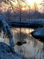 433jpg - Landscapes