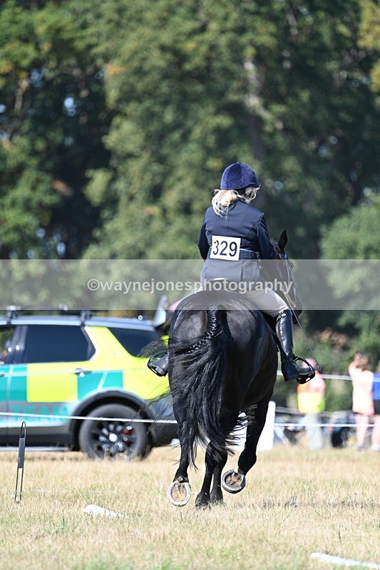 WJ7_9885 - Time 11:03 to 11:28