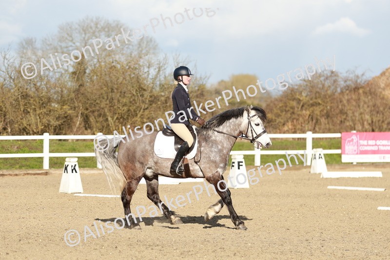 20260314-5417 - DR4 - Prelim 2