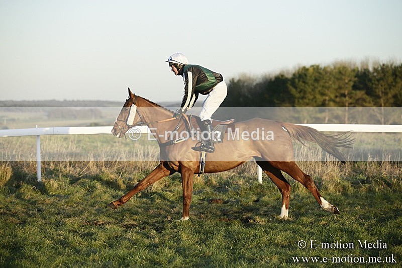 PtP 070118 -726 - Larkhill Racing Club Point to Point Larkhill 07/01/2018