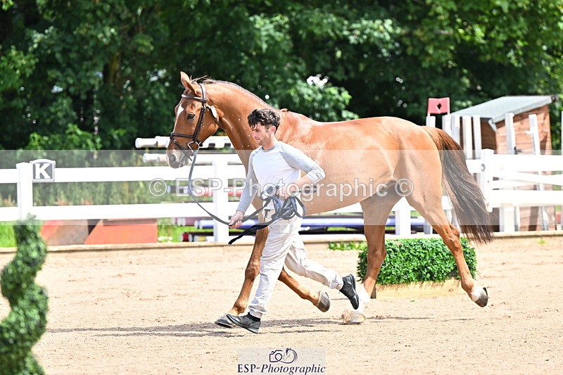 240718A-105237-00923 - Trot Up 11am to 12pm