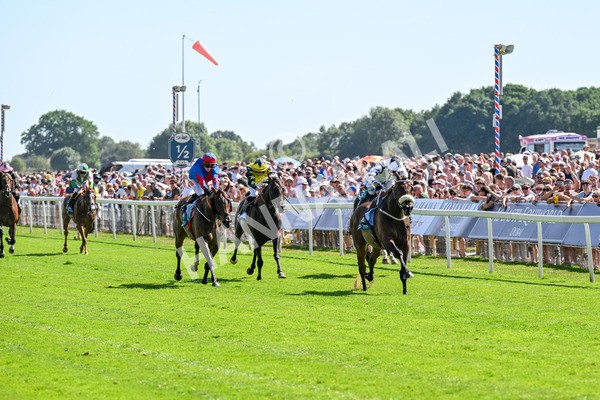 120725-Race 4-Al Qareem-0315 - Race 4 3.45pm John Smith's Silver Cup Stakes