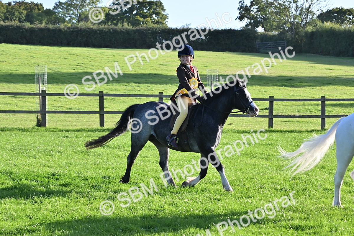 SBM_53098 - S23 - First Ridden Mountain & Moorland Pony