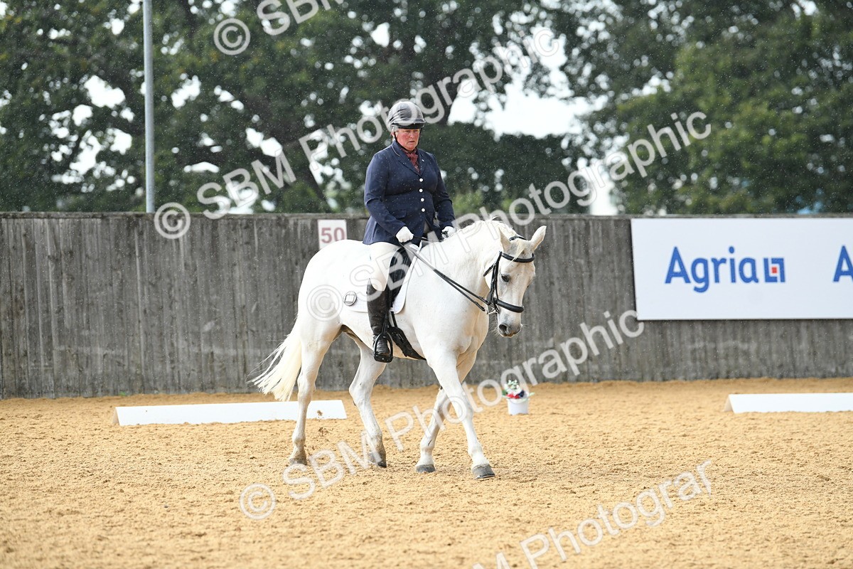 SBM_11105 - D28 Elementary Taster Elementary 42