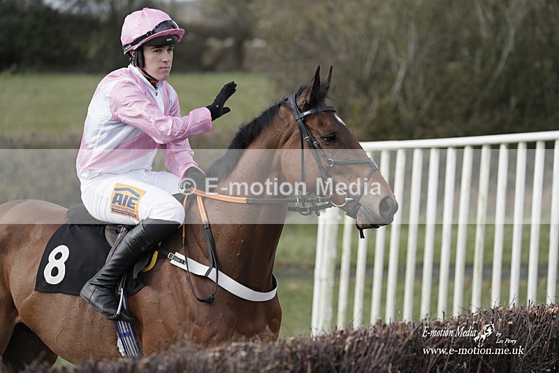 PtP 180323 428 - Shelfield Park Races with Croome & West Warwickshire Hunt  18/03/23