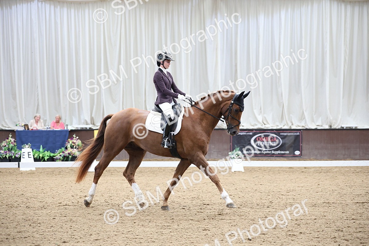 SBM_002807 - Class 5 - Novice 6 Gold - 10.24-11.30