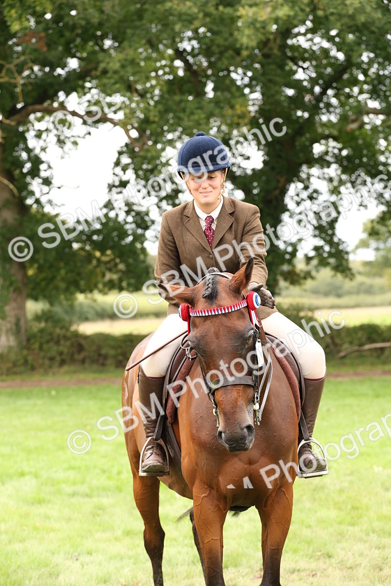 SBM_64296 - S65 - Riding Horse & Hack & Thoroughbred Ridden
