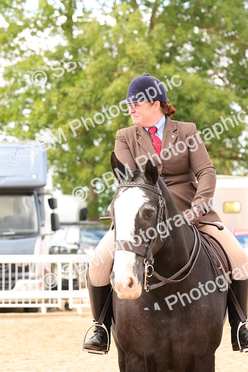 SBM_15569 - Class 214 - Ridden Show Cob