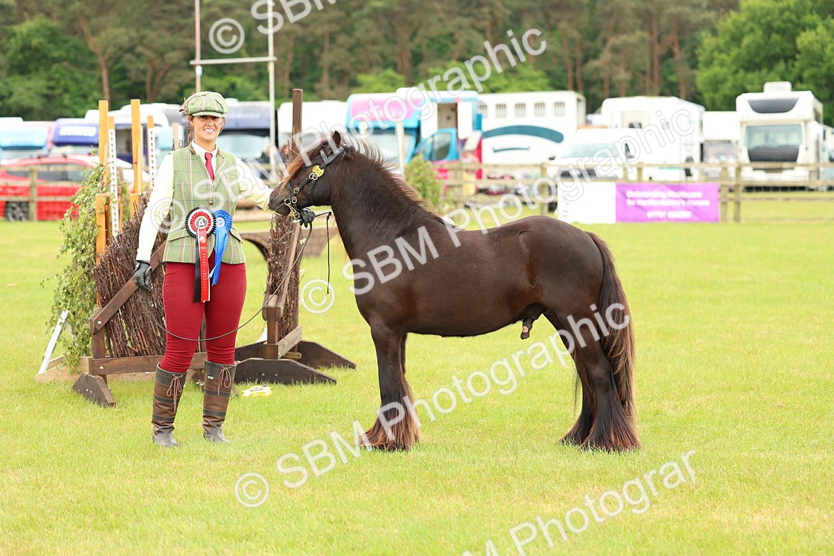 SBM_06357 - Class 39-41 TGCA In Hand and Ridden