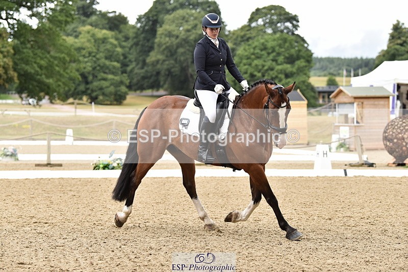 140109A-233444-08506 - 008-Bella.Balian-Beechwood.Joey