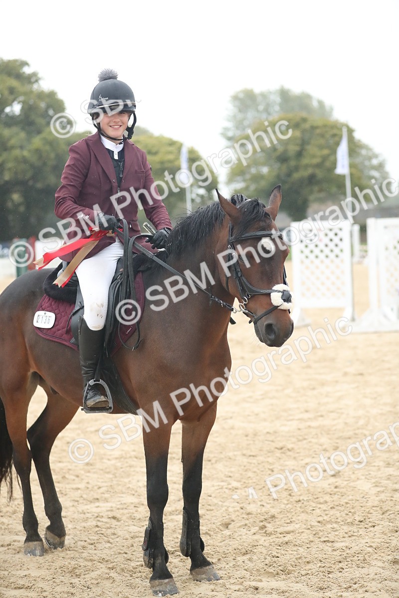 SBM_74310 - Supreme championship Junior Pony 70cm 75cm