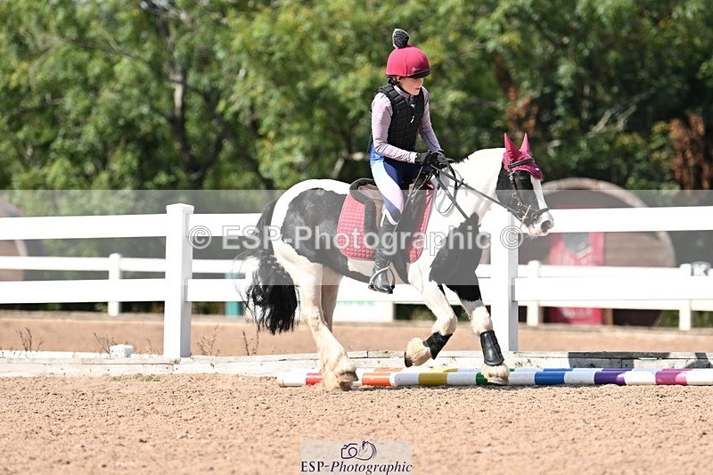 250821B-150135-00902 - Group D - Thomasina