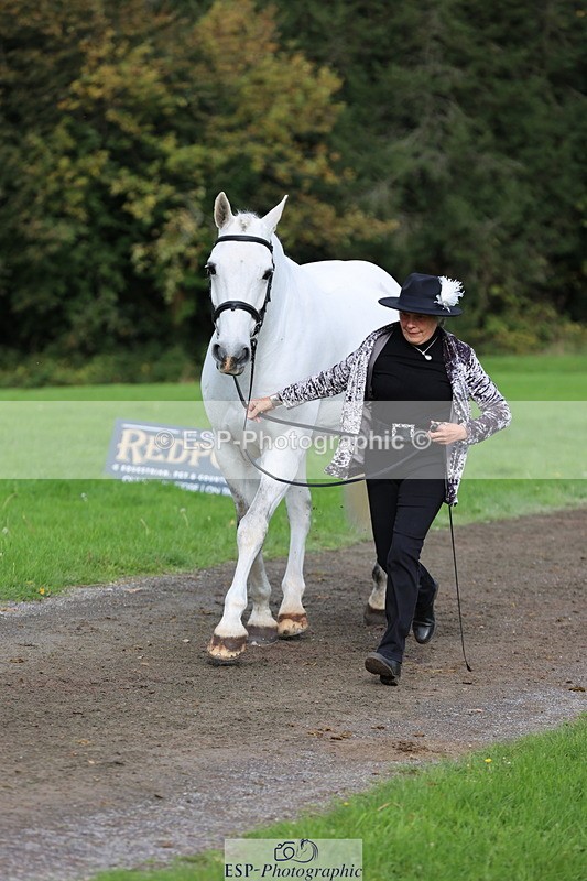 251026A-120709-25897 - G-522-Sue.Parkes Inc Trot Up