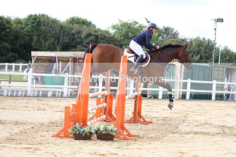 3E7A2138 - Class 4: Senior British Novice/90cm open