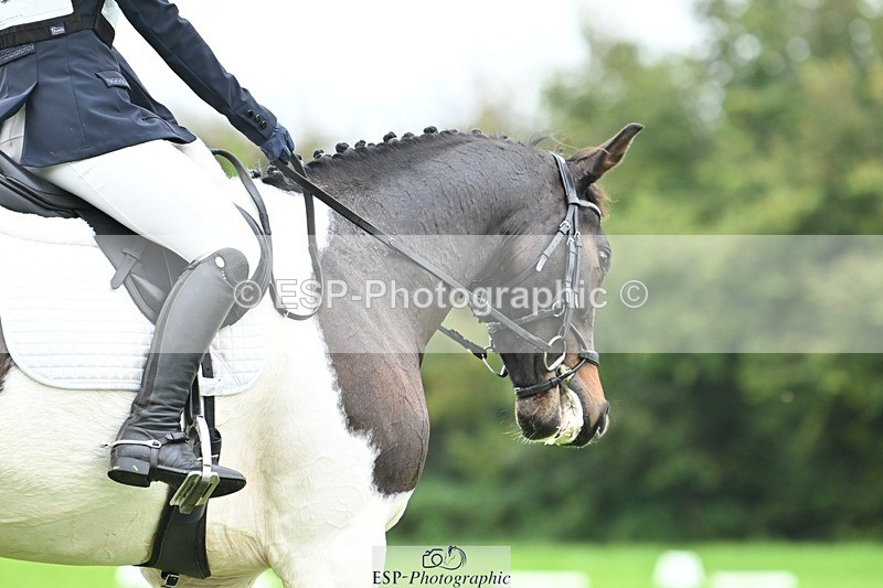 241024-103947-02237 - 307-Ava.Moor-LANGALLER.SUNRISE