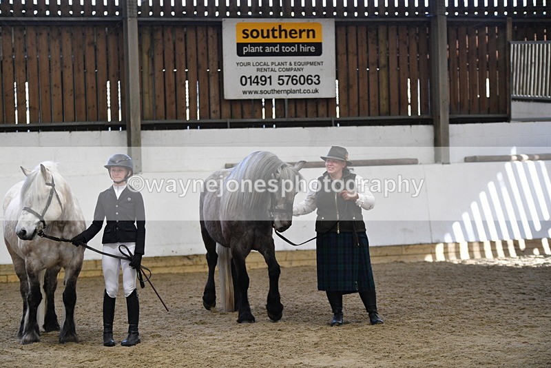 WJ5_4442 - Class 6 In hand M&M - Large Breeds